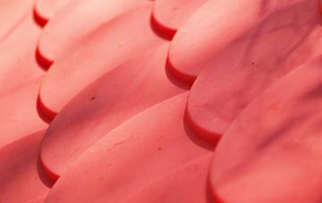 Lubberland plastic roof costs