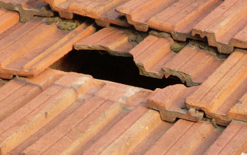 roof repair Lubberland, Shropshire